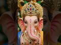 Udhal Ho ❤️🥰 #ganpatibappamorya #love #ganeshchaturthi #lordganesha #festival #ganpatimantra