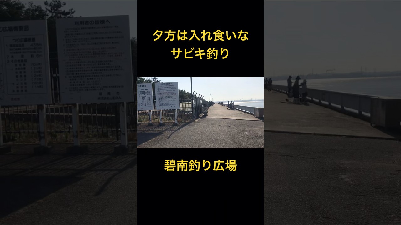 夕方なら入れ食いなサビキ釣り 碧南釣り広場 碧南海釣り公園#碧南釣り広場#サビキ釣り#衣浦湾