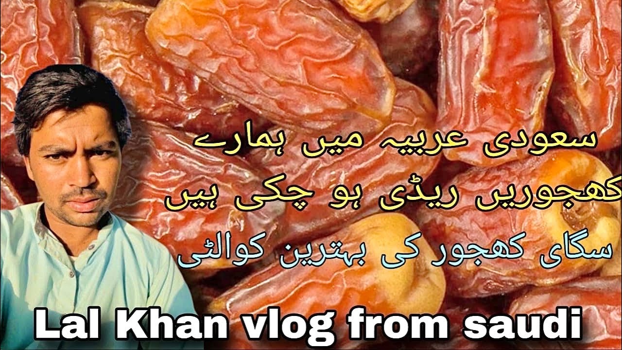 سعودی عرب کی شاہی کھجوریں Premium Quality Saudi Dates | Natural Taste of Arabia