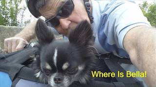 Ecosmo Folding Bike - Out For A Ride