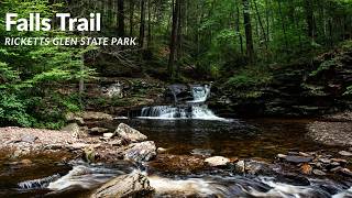 Falls Loop Trail to Ganoga Falls, Ricketts Glen State Park