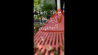 Raking leaves