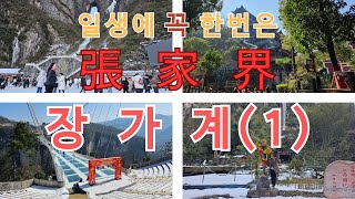 장가계  안 가셔도 됩니다(1). 이 영상만 보시면 됩니다/장가계3박4일 1편/보봉호수/ 토가픙정원/ 대협곡/천문산/천문사/천문동