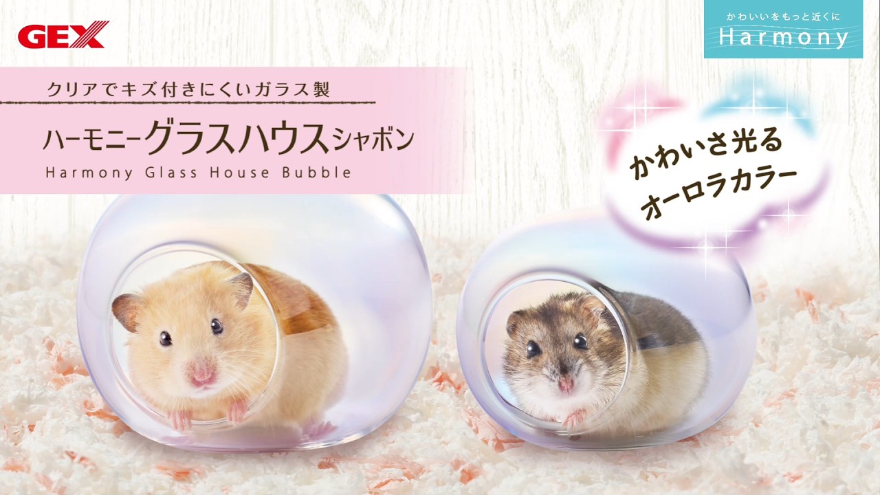 【うちの子をもっと可愛く】オーロラカラーのハウス＆かわいらしいカラー展開で超やわらか素材の床材が発売✨