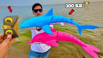 Rc Shark & Rc Dolphin Unboxing and Testing