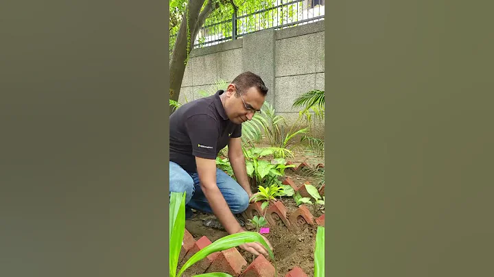 Planting the seeds for a greener tomorrow! 🌱 #explorepage #gogreen #plantationdrive #sustainable