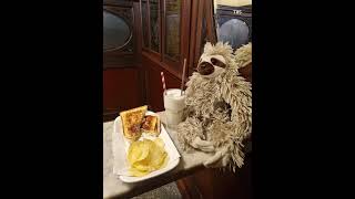 The Geordie Mission #1 | First Class to 1900? 🚂 #travel #funny #food