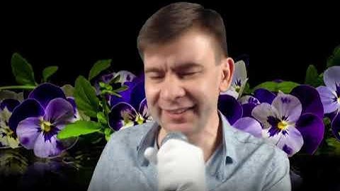 Thumbnail of Роман Ефимов - Про тестя (песня Геннадия Самойлова )