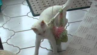 Jules In Kiss Me Kick Me