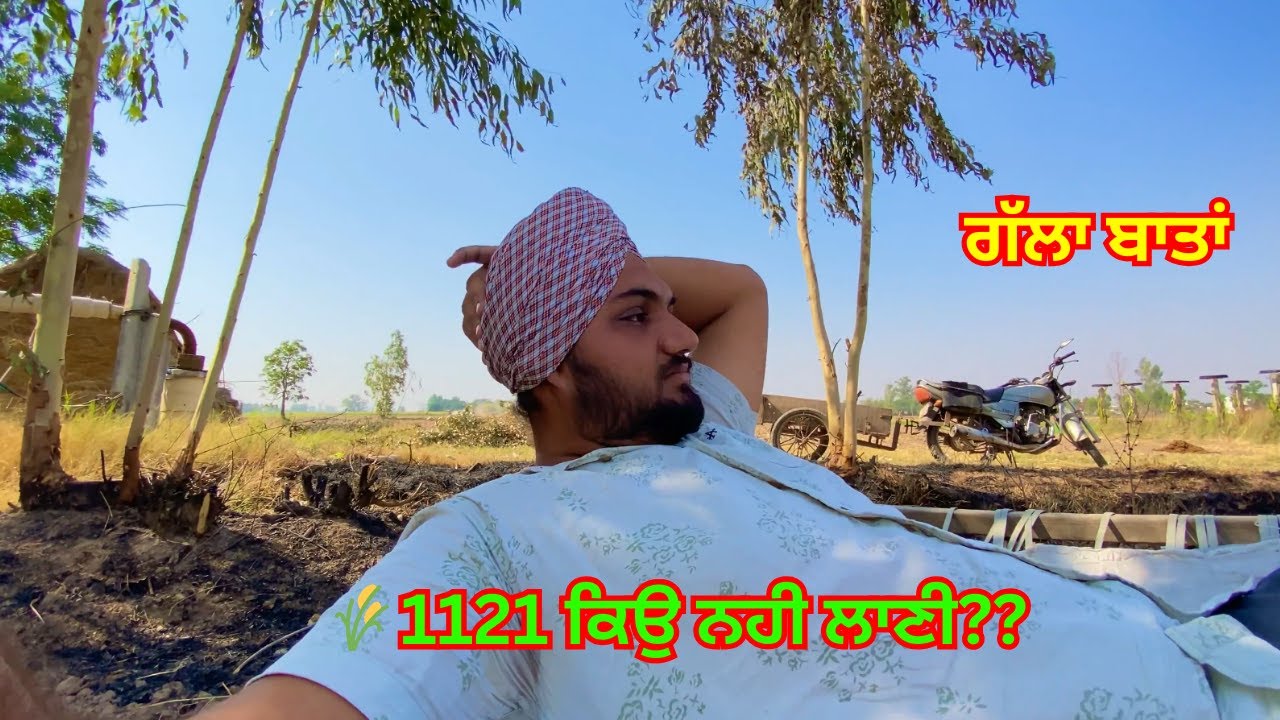 ਪੌਦ ਬੀਜਤੀ 🌾1885 // 🌾1121 ਨਹੀ ਲਗਾਣੀ ?// vlog=29//Basmati jhona // @NEET_DHINDSA1