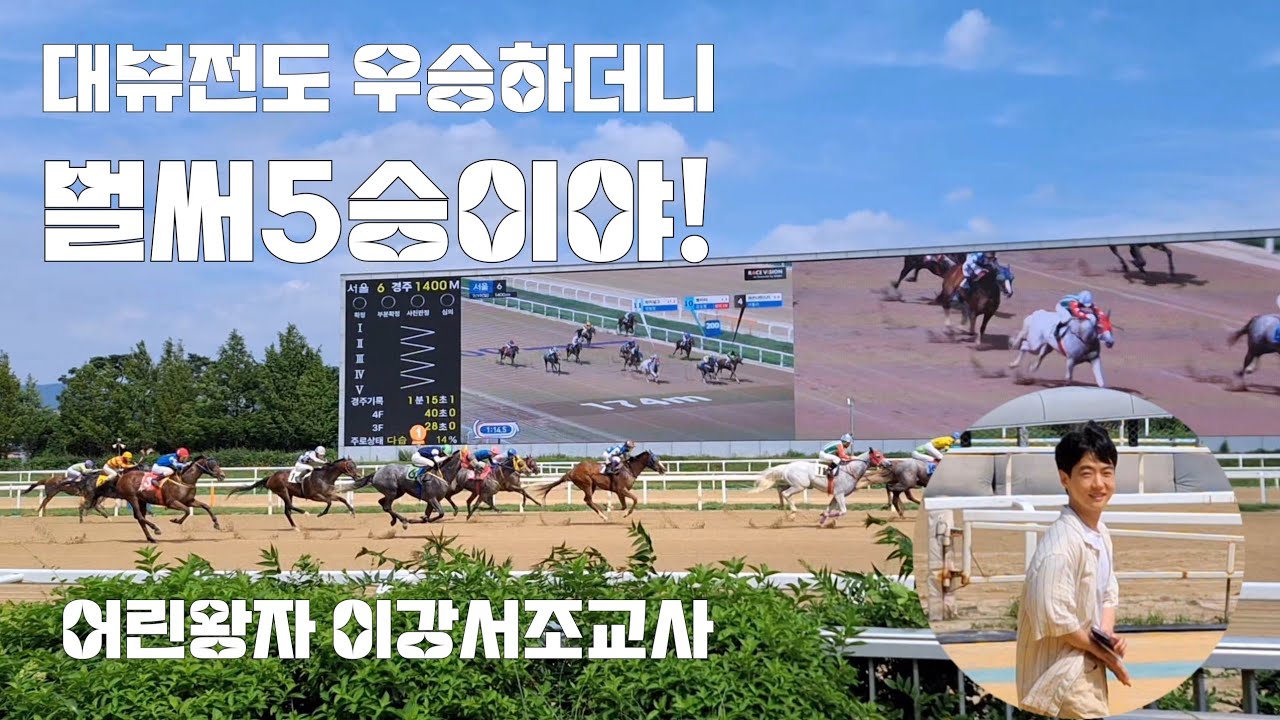 말조교를 잘시키는데?(서울경마장 조교사 이강서 승승장구 하이라이트)