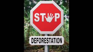 Our Deforested World.
