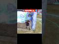 Impossible shot 😱😱🤯🤯🌎 #freefire #shortsfeed #highilts #viralvideo #freestyle #ff #gaming