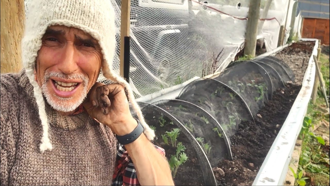 Raised Beds Homesteading in NZ YouTube