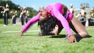 UAPB Golden Girls "Shake Ya Pants" Routine | JSU Game 2018