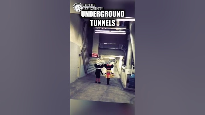 Did you know Disneyland has underground tunnel system?