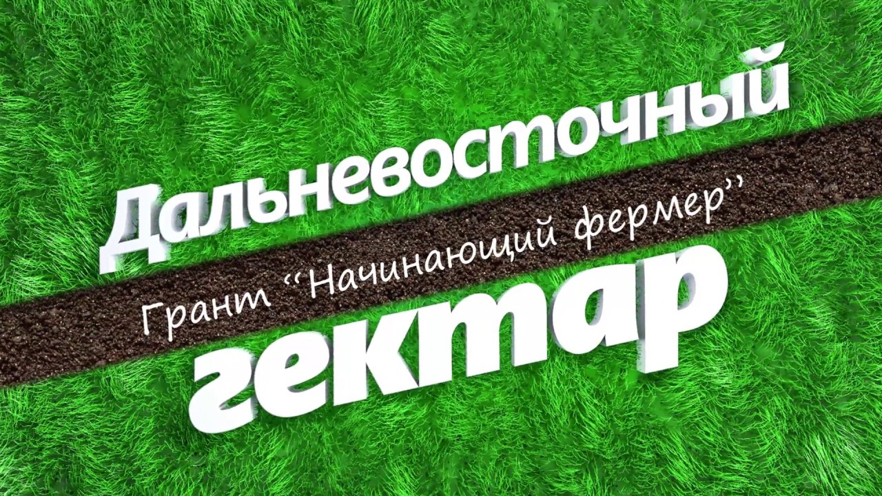 Гектар на оке