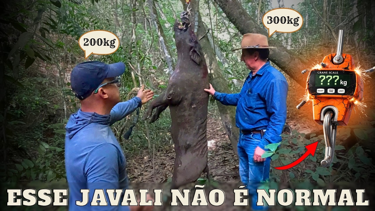 BRUTO, GRANDE E PERIGOSO | JAVALI BRASIL