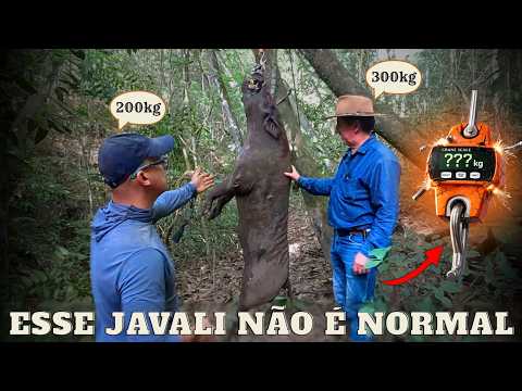 BRUTO, GRANDE E PERIGOSO | JAVALI BRASIL