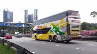 Maraliner | RTG Interch | MAN 19.350 • AeroBus Express | TMSBUS 7D | Volvo B11R •