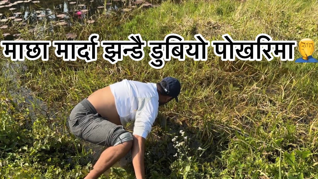 अल्छी