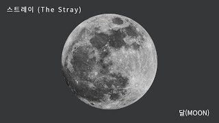 스트레이 (The Stray) - 달(MOON)