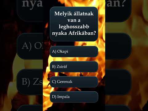hqdefault
