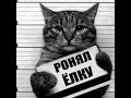 СМЕШНЫЕ КОТЫ КОШКИ 2020 ЗАБАНЫЕ КОТЫ КОШКИ Funny Cat Videos