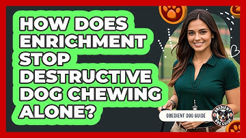 How Does Enrichment Stop Destructive Dog Chewing Alone? - Obedient Dog Guide