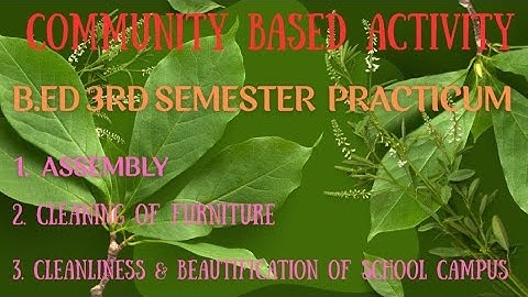 Community Based Activity |Pedagogy Of School Subject [Part-ll] | B.ed 3rd Semester Practicum