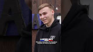 L’illusion de l’éducation canine : quand l’ordre remplace la compréhension