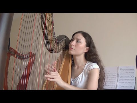 Simulation Swarm - Big Thief Cover