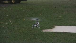 T-REX 450S GF First Hover