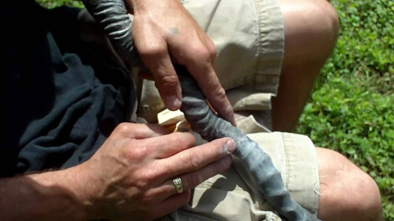 How To: Buff And Polish A Black Buck Antelope Horn