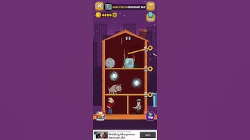 Home Pin. Hard level 3