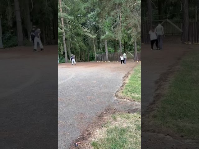 VID 20260830 WA0064