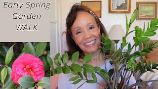 Let's Take a Walk Through My Garden in Early Spring | Camellias, Azaleas & More in Bloom