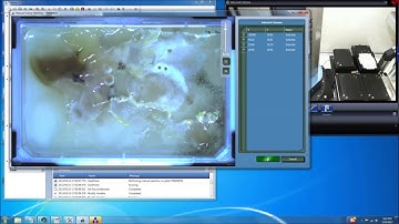 RapidPick Fungal Pick -automated colony picking