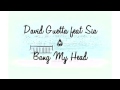 Bang my head (featuring Sia, David Guetta, and Fetty Wap)