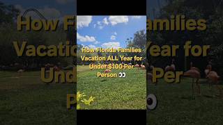 How Florida Families Vacation ALL Year for Under $100 Per Person👀