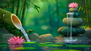 Relaxing Spa Music, Spa Music, Meditation Music, Calming Music, Nature Sounds, Bamboo Water Sounds