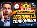 Allarme Legionella in condominio: cosa devono fare gli amministratori (nuove regole)