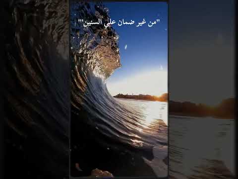 ياسمين العبد ضلمه 