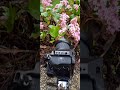 shooting with Tamron 17-28