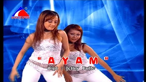Endang W ft Farid Hardja - Ayam (House) (HD Quality)