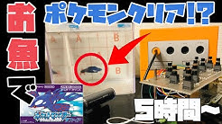 むてきまるちゃんねる Mutekimaru Channel Youtube