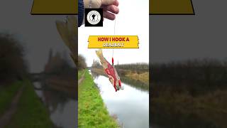 HOW I HOOK A DEADBAIT | When Fishing for Pike #shorts #pikefishing