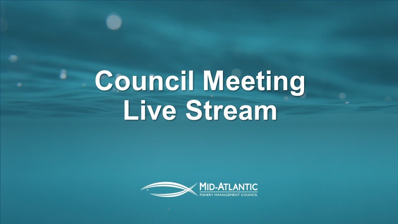 MAFMC Meeting: February 10, 2026 (AM)