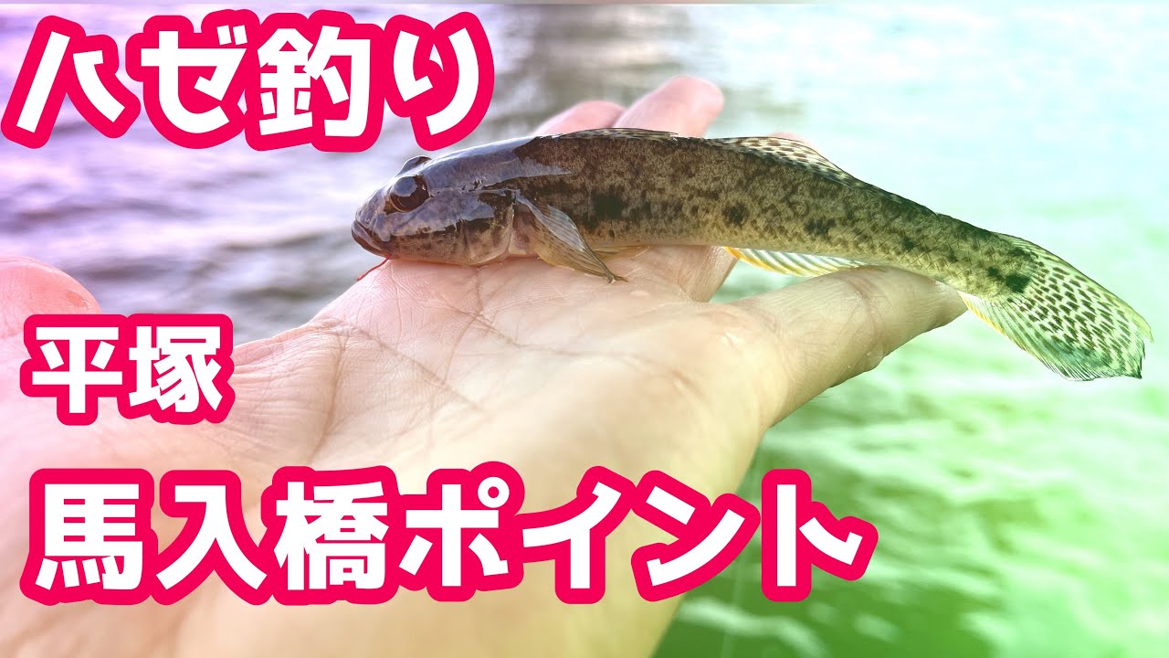 【釣り】平塚、馬入ふれあい公園でハゼ釣りしてきた！ポイントを探るおさんぽ【相模川】