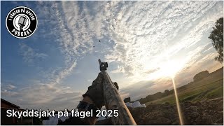 Skyddsjakt Fågel 2025